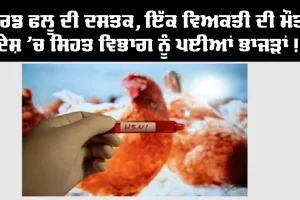 ਬਰਡ ਫਲੂ ਦੀ ਦਸਤਕ, ਇੱਕ ਵਿਅਕਤੀ ਦੀ ਮੌਤ