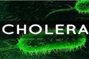 Cholera Cases: ਹੈਜ਼ੇ ਦੇ 119 ਮਾਮਲੇ ਸਾਹਮਣੇ ਆਏ, 12 ਮੌਤਾਂ
