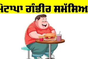 Health: ਮੋਟਾਪਾ ਗੰਭੀਰ ਸਮੱਸਿਆ