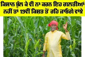 PM Kisan Nidhi 19th Kist: ਕਿਸਾਨ ਭੁੱਲ ਕੇ ਵੀ ਨਾ ਕਰਨ ਇਹ ਗਲਤੀਆਂ, ਨਹੀਂ ਤਾਂ 19ਵੀਂ ਕਿਸ਼ਤ ਤੋਂ ਰਹਿ ਜਾਓਗੇ ਵਾਂਝੇ