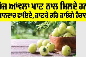 Amla Benefits: ਰੋਜ਼ ਆਂਵਲਾ ਖਾਣ ਨਾਲ ਮਿਲਦੇ ਹਨ 4 ਸ਼ਾਨਦਾਰ ਫਾਇਦੇ, ਜਾਣ ਕੇ ਰਹਿ ਜਾਓਗੇ ਹੈਰਾਨ