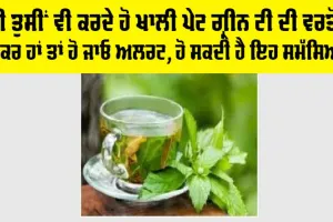 Green Tea Side Effects: ਕੀ ਤੁਸੀਂ ਵੀ ਕਰਦੇ ਹੋ ਖਾਲੀ ਪੇਟ ਗ੍ਰੀਨ ਟੀ ਦੀ ਵਰਤੋਂ, ਜੇਕਰ ਹਾਂ ਤਾਂ ਹੋ ਜਾਓ ਅਲਰਟ, ਹੋ ਸਕਦੀ ਹੈ ਇਹ ਸਮੱਸਿਆ
