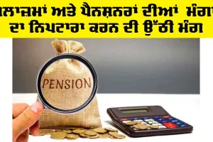 Punjab Pensioners News: ਪੈਨਸ਼ਨਰਾਂ ਤੇ ਮੁਲਾਜ਼ਮਾਂ ਨੇ ਸਰਕਾਰ ਨੂੰ ਰੱਖ ਦਿੱਤੀ ਮੰਗ, ਜਲਦੀ ਨਿਪਟਾਰਾ ਕਰਨ ਦੀ ਵੀ ਉੱਠੀ ਮੰਗ