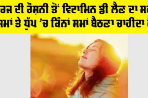 Vitamin D Benefit: ਸੂਰਜ ਦੀ ਰੌਸ਼ਨੀ ਤੋਂ ਵਿਟਾਮਿਨ ਡੀ ਲੈਣ ਦਾ ਸਹੀ ਸਮਾਂ ਤੇ ਧੁੱਪ ’ਚ ਕਿੰਨਾਂ ਸਮਾਂ ਬੈਠਣਾ ਚਾਹੀਦਾ ਹੈ, ਪੜ੍ਹੋ ਤੇ ਜਾਣੋ