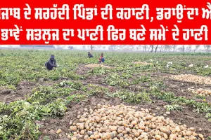 Border Villages of Punjab: ਪੰਜਾਬ ਦੇ ਸਰਹੱਦੀ ਪਿੰਡਾਂ ਦੀ ਕਹਾਣੀ, ਡਰਾਉਂਦਾ ਐ ਭਾਵੇਂ ਸਤਲੁਜ ਦਾ ਪਾਣੀ ਫਿਰ ਵੀ ਬਣੇ ਸਮੇਂ ਦੇ ਹਾਣੀ