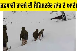 Chamoli Avalanche: ਬਰਫ਼ਬਾਰੀ ਹਾਦਸੇ ਦੀ ਮੈਜਿਸਟ੍ਰੇਟ ਜਾਂਚ ਦੇ ਆਦੇਸ਼