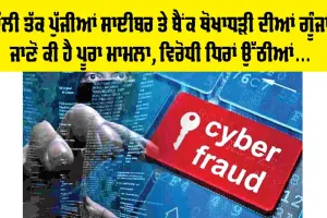 Cyber Fraud: ਵਧਦੀ ਸਾਈਬਰ ਧੋਖਾਧੜੀ ਅਤੇ ਬੈਂਕ ਧੋਖਾਧੜੀ ਦੀਆਂ ਗੂੰਜਾਂ ਦਿੱਲੀ ਤੱਕ ਪੁੱਜੀਆਂ, ਜਾਣੋ ਪੂਰਾ ਮਾਮਲਾ