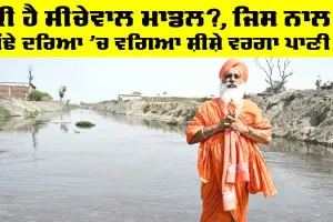 Seechewal Model: ਸੀਚੇਵਾਲ ਮਾਡਲ ਦਾ ਅਸਰ, ਦਹਾਕਿਆਂ ਬਾਅਦ ਬੁੱਢੇ ਦਰਿਆ ’ਚ ਵਗਿਆ ਸਾਫ਼ ਪਾਣੀ