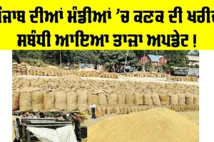 Wheat Procurement in Punjab : ਪੰਜਾਬ ਦੀਆਂ ਮੰਡੀਆਂ ’ਚ ਕਣਕ ਦੀ ਖਰੀਦ ਦਾ ਆਇਆ ਤਾਜ਼ਾ ਅਪਡੇਟ, ਪੜ੍ਹੋ ਸਰਕਾਰ ਦਾ ਬਿਆਨ