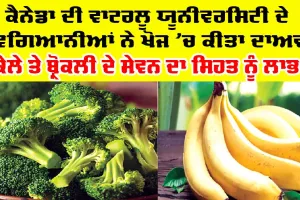 Broccoli and Bananas: ਬ੍ਰੋਕਲੀ ਤੇ ਕੇਲੇ ਦਾ ਸੇਵਨ ਕਰਨ ਦੇ ਲਾਭ ਸਬੰਧੀ ਕੈਨੇਡਾ ਦੀ ਯੂਨੀਵਰਸਿਟੀ ਨੇ ਕੀਤਾ ਨਵਾਂ ਦਾਅਵਾ