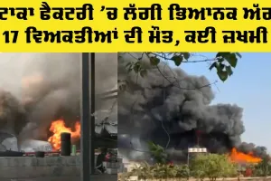 Gujarat Fire News: ਪਟਾਕਾ ਫੈਕਟਰੀ ’ਚ ਲੱਗੀ ਭਿਆਨਕ ਅੱਗ, 17 ਲੋਕਾਂ ਦੀ ਮੌਤ, ਕਈ ਜ਼ਖਮੀ