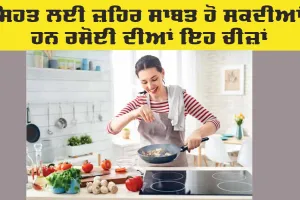 kitchen Items: ਸਿਹਤ ਲਈ ਜ਼ਹਿਰ ਸਾਬਤ ਹੋ ਸਕਦੀਆਂ ਹਨ ਰਸੋਈ ਦੀਆਂ ਇਹ ਚੀਜ਼ਾਂ