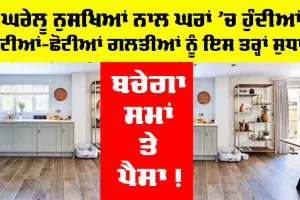 Home Remedies: ਘਰਾਂ ਵਿੱਚ ਹੁੰਦੀਆਂ ਛੋਟੀਆਂ-ਛੋਟੀਆਂ ਗਲਤੀਆਂ ਨੂੰ ਇਸ ਤਰ੍ਹਾਂ ਸੁਧਾਰੋ, ਘਰੇਲੂ ਨੁਸਖਿਆਂ ਨਾਲ ਹੋਵੇਗੀ ਸੌਖ