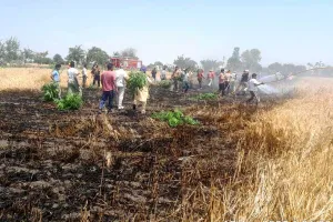 Wheat Crop Fire: ਕਣਕ ਦੀ ਖੜ੍ਹੀ ਫਸਲ ਨੂੰ ਅੱਗ ਲੱਗੀ, 2 ਏਕੜ ਸੁਆਹ