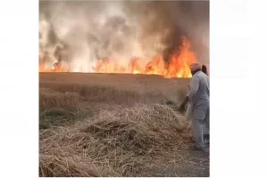 Wheat Crop Fire: ਅੱਗ ਲੱਗਣ ਕਾਰਨ ਦੋ ਕਿਸਾਨਾਂ ਦੀ ਦਸ ਏਕੜ ਕਣਕ ਦੀ ਫ਼ਸਲ ਸੜ ਕੇ ਸੁਆਹ 
