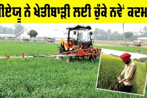 Agriculture News Punjab: ਪੀਏਯੂ ਨੇ ਖੇਤੀਬਾੜੀ ਲਈ ਚੁੱਕੇ ਨਵੇਂ ਕਦਮ, ਕਿਸਾਨ ਦੀ ਤਰੱਕੀ ਲਈ ਹੋਣਗੇ ਲਾਹੇਵੰਦ