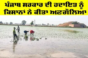 Punjab Government News: ਪੰਜਾਬ ਸਰਕਾਰ ਦੀ ਹਦਾਇਤ ਨੂੰ ਕਿਸਾਨਾਂ ਨੇ ਕੀਤਾ ਅਣਗੌਲਿਆ