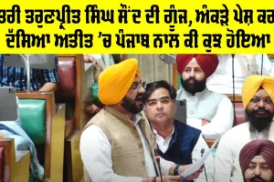 Vidhan Sabha Punjab: ਮੰਤਰੀ ਤਰੁਣਪ੍ਰੀਤ ਸਿੰਘ ਸੌਂਦ ਦੀ ਗੂੰਜ, ਅੰਕੜੇ ਪੇਸ਼ ਕਰਕੇ ਦੱਸਿਆ ਅਤੀਤ ’ਚ ਪੰਜਾਬ ਨਾਲ ਕੀ ਕੁਝ ਹੋਇਆ