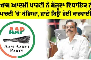 Kunwar Vijay Pratap: ਆਮ ਆਦਮੀ ਪਾਰਟੀ ਨੇ ਮੌਜ਼ੂਦਾ ਵਿਧਾਇਕ ਨੂੰ ਪਾਰਟੀ ’ਚੋਂ ਕੱਢਿਆ, ਜਾਣੋ ਕਿਉਂ ਹੋਈ ਕਾਰਵਾਈ