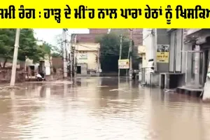 Rain: ਹਾੜ੍ਹ ਦੇ ਮੀਂਹ ਨਾਲ ਪਾਰਾ ਹੇਠਾਂ ਨੂੰ ਖਿਸਕਿਆ