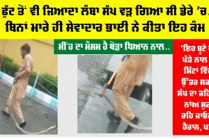 Snake News: 6 ਫੁੱਟ ਤੋਂ ਵੀ ਜਿਆਦਾ ਲੰਬਾ ਸੱਪ ਵੜ ਗਿਆ ਸੀ ਡੇਰੇ ’ਚ… ਬਿਨਾਂ ਮਾਰੇ ਹੀ ਸੇਵਾਦਾਰ ਭਾਈ ਨੇ ਕੀਤਾ ਇਹ ਕੰਮ
