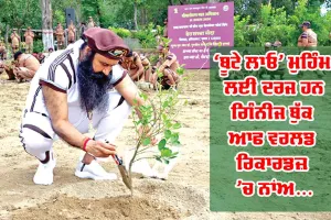 World Environment Day 2025 ’ਤੇ ਵਿਸ਼ੇਸ਼: 17 ਕਰੋੜ ਤੋਂ ਵੱਧ ਬੂਟੇ ਲਾ ਚੁੱਕਾ ਹੈ ਡੇਰਾ ਸੱਚਾ ਸੌਦਾ