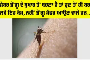 Dengue Fever Symptoms: ਡੇਂਗੂ ਬੁਖਾਰ ਕਦੋਂ ਤੇ ਕਿਵੇਂ ਹੁੰਦਾ ਹੈ, ਜਾਣੋ ਇਸ ਦੇ ਲੱਛਣ ਤੇ ਬਚਾਅ