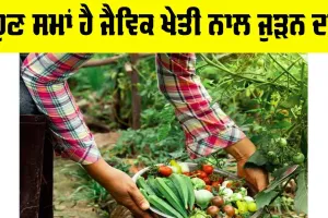 Organic Farming In India: ਹੁਣ ਸਮਾਂ ਹੈ ਜੈਵਿਕ ਖੇਤੀ ਨਾਲ ਜੁੜਨ ਦਾ