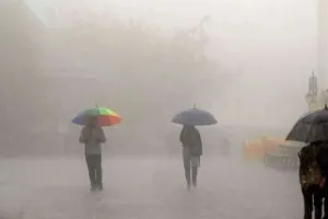 Rain: ਵਰ੍ਹਦੇ ਬੱਦਲਾਂ ਨੂੰ ਦੇਖ ਇਨਸਾਨਾਂ ਨਾਲ ਪਰਿੰਦੇ ਵੀ ਝੂਮ ਉੱਠੇ