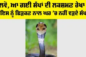 Snake News: ਲਵੋ, ਆ ਗਈ ਸੱਪਾਂ ਦੀ ਲਕਸ਼ਮਣ ਰੇਖਾ! ਇਸ ਨੂੰ ਛਿੜਕਣ ਨਾਲ ਘਰ ’ਚ ਨਹੀਂ ਵੜਦੇ ਸੱਪ