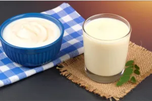 Monsoon Diet: ਦਹੀਂ ਜਾਂ ਛਾਛ… ਮਾਨਸੂਨ ਦੇ ਮੌਸਮ ’ਚ ਬਿਹਤਰ ਵਿਕਲਪ ਕੀ ਹੈ? ਜਾਣੋ