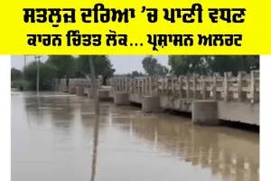 Satluj River News: ਸਤਲੁਜ਼ ਦਰਿਆ ’ਚ ਪਾਣੀ ਵਧਣ ਕਾਰਨ ਚਿੰਤਤ ਲੋਕ… ਪ੍ਰਸ਼ਾਸਨ ਅਲਰਟ
