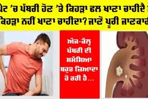 Stomach Stone: ਪੇਟ ’ਚ ਪੱਥਰੀ ਹੋਣ ’ਤੇ ਕਿਹੜਾ ਫਲ ਖਾਣਾ ਚਾਹੀਦੈ ਤੇ ਕਿਹੜਾ ਨਹੀਂ ਖਾਣਾ ਚਾਹੀਦਾ? ਜਾਣੋ ਪੂਰੀ ਜਾਣਕਾਰੀ