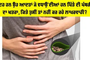 Gallbladder Stone: ਇਹ ਹਨ ਉਹ ਆਦਤਾਂ ਜੋ ਵਧਾਉਂਦੀਆਂ ਹਨ ਪਿੱਤੇ ਦੀ ਪੱਥਰੀ ਦਾ ਖਤਰਾ, ਕਿਤੇ ਤੁਸੀਂ ਤਾਂ ਨਹੀਂ ਕਰ ਰਹੇ ਲਾਪਰਵਾਹੀ?