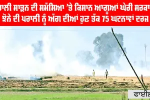 Stubble Burning Punjab: ਝੋਨੇ ਦੀ ਪਰਾਲੀ ਦੀ ਸਮੱਸਿਆ ’ਤੇ ਕਿਸਾਨ ਆਗੂਆਂ ਘੇਰੀ ਸਰਕਾਰ, ਪਰਾਲੀ ਨੂੰ ਅੱਗ ਦੀਆਂ ਹੁਣ ਤੱਕ 75 ਘਟਨਾਵਾਂ ਦਰਜ