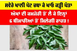 Curry Leaves: ਸਵੇਰੇ ਖਾਲੀ ਪੇਟ ਖਾਓ ਕੜ੍ਹੀ ਪੱਤਾ, ਅੱਖਾਂ ਦੀ ਕਮਜ਼ੋਰੀ ਤੋਂ ਲੈ ਕੇ ਇਨ੍ਹਾਂ 6 ਬੀਮਾਰੀਆਂ ਤੋਂ ਮਿਲੇਗੀ ਰਾਹਤ!