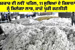 Cotton Procurement Centers: ਸਰਕਾਰ ਦੀ ਨਵੀਂ ਪਹਿਲ, 11 ਸੂਬਿਆਂ ਦੇ ਕਿਸਾਨਾਂ ਨੂੰ ਮਿਲੇਗਾ ਲਾਭ, ਜਾਣੋ ਪੂਰੀ ਰਣਨੀਤੀ