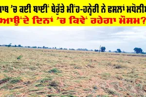 Rain In Punjab: ਮੌਸਮ ਦੀ ਮਾਰ, ਪੰਜਾਬ ’ਚ ਕਈ ਥਾਈਂ ਬੇਰੁੱਤੇ ਮੀਂਹ-ਹਨ੍ਹੇਰੀ ਨੇ ਫਸਲਾਂ ਮਧੋਲੀਆਂ