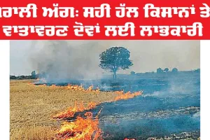 Stubble Burning: ਪਰਾਲੀ ਅੱਗ, ਸਹੀ ਹੱਲ ਕਿਸਾਨਾਂ ਤੇ ਵਾਤਾਵਰਣ ਦੋਵਾਂ ਲਈ ਲਾਭਕਾਰੀ