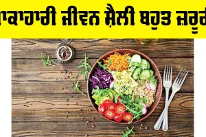 Vegetarian Lifestyle Benefits: ਸ਼ਾਕਾਹਾਰੀ ਜੀਵਨ ਸ਼ੈਲੀ ਬਹੁਤ ਜ਼ਰੂਰੀ