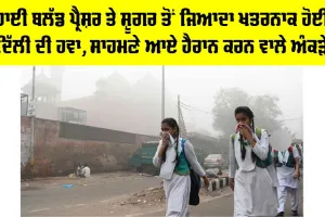 Delhi Air Pollution: ਹਾਈ ਬਲੱਡ ਪ੍ਰੈਸ਼ਰ ਤੇ ਸ਼ੂਗਰ ਤੋਂ ਜਿਆਦਾ ਖ਼ਤਰਨਾਕ ਹੋਈ ਦਿੱਲੀ ਦੀ ਹਵਾ, ਸਾਹਮਣੇ ਆਏ ਹੈਰਾਨ ਕਰਨ ਵਾਲੇ ਅੰਕੜੇ