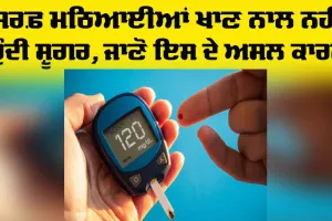 Diabetes Health Tips: ਸਿਰਫ਼ ਮਠਿਆਈਆਂ ਖਾਣ ਨਾਲ ਨਹੀਂ ਹੁੰਦੀ ਸ਼ੂਗਰ, ਜਾਣੋ ਇਸਦੇ ਅਸਲ ਕਾਰਨ