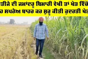 Farmer Success Story: ਭਤੀਜੇ ਦੀ ਜਮਾਂਦਰੂ ਬਿਮਾਰੀ ਵੇਖੀ ਤਾਂ ਖੇਤ ਵਿੱਚੋਂ ਰੇਹ ਸਪਰੇਅ ਬਾਹਰ ਕਰ ਸ਼ੁਰੂ ਕੀਤੀ ਕੁਦਰਤੀ ਖੇਤੀ