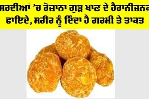 Gud in Winters: ਸਰਦੀਆਂ ’ਚ ਰੋਜ਼ਾਨਾ ਗੁੜ ਖਾਣ ਦੇ ਹੈਰਾਨੀਜਨਕ ਫਾਇਦੇ, ਸਰੀਰ ਨੂੰ ਦਿੰਦਾ ਹੈ ਗਰਮੀ ਤੇ ਤਾਕਤ