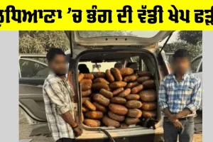 Ludhiana Crime News: ਲੁਧਿਆਣਾ ‘ਚ ਡੀਆਰਆਈ ਦੀ ਕਾਰਵਾਈ, 103 ਕਿਲੋਗ੍ਰਾਮ ਭੰਗ ਜ਼ਬਤ