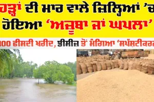 Punjab: ਹੜ੍ਹਾਂ ਦੀ ਮਾਰ ਵਾਲੇ ਜ਼ਿਲ੍ਹਿਆਂ ’ਚ ਹੋਇਆ ‘ਅਜ਼ੂਬਾ ਜਾਂ ਘਪਲਾ’, 100 ਫੀਸਦੀ ਖਰੀਦ, ਡੀਸੀਜ਼ ਤੋਂ ਮੰਗਿਆ ‘ਸਪੱਸ਼ਟੀਕਰਨ’