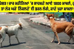 Punjab News: ਦਹਿਸ਼ਤ! ਚਾਰ ਮਹੀਨਿਆਂ ’ਚ ਸਾਹਮਣੇ ਆਏ 1800 ਮਾਮਲੇ, ਹੁਣ ਤਾਂ ਲੋਕ ਘਰੋਂ ਨਿੱਕਲਣੋਂ ਵੀ ਡਰਨ ਲੱਗੇ, ਜਾਣੋ ਪੂਰਾ ਮਾਮਲਾ