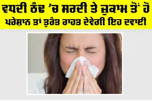 Winter Cold: ਵਧਦੀ ਠੰਢ ’ਚ ਸਰਦੀ ਤੇ ਜ਼ੁਕਾਮ ਤੋਂ ਹੋ ਪਰੇਸ਼ਾਨ ਤਾਂ ਤੁਰੰਤ ਰਾਹਤ ਦੇਵੇਗੀ ਇਹ ਦਵਾਈ