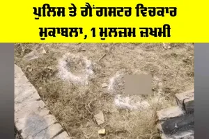 Jalandhar Police Gangster Encounter: ਪੁਲਿਸ ਤੇ ਗੈਂਗਸਟਰ ਵਿਚਕਾਰ ਮੁਕਾਬਲਾ, 1 ਮੁਲਜ਼ਮ ਜ਼ਖਮੀ