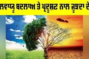 Pollution Crisis India: ਜਲਵਾਯੂ ਬਦਲਾਅ ਅਤੇ ਪ੍ਰਦੂਸ਼ਣ ਨਾਲ ਜੂਝਦਾ ਦੇਸ਼